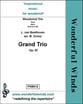 Grand Trio Op. 87 Trio for Flute, Oboe, Bb Clarinet cover